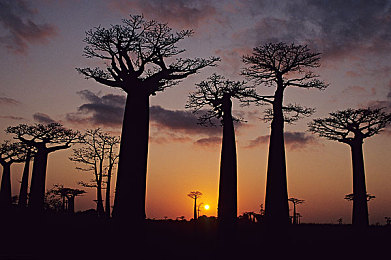 性一交一乱一乱一视频：霓虹街头，速度与混乱交织的竞速艺术-2