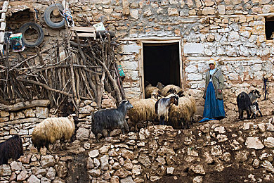 国产男男网站：双人协同驾驶竞速，赛博朋克友谊之旅