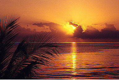 亚洲在线一区二：都市极速风云今日上线，双区赛道揭秘晋级攻略-2