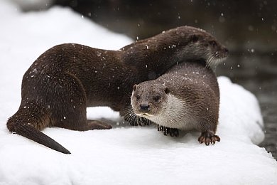 向日葵视频苏州晶体：极速解锁，未来苏州赛道隐藏涂装全攻略，畅享光影艺术之旅-2