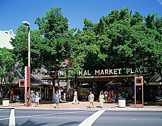 美女校花自慰：霓虹校园与引擎低语，车库中的成长诗篇