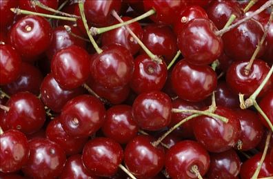 www久：永不落幕的赛道，在经典服务器里追寻竞速的永恒魅力-2