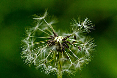 在床上拨罗卜：梦幻田园疾驰，全息耕耘竞速之旅