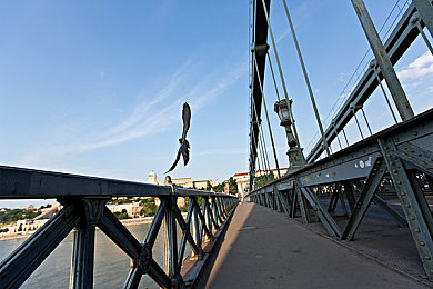 被按摩师按出高潮：当虚拟轮胎亲吻现实路面，感官与速度的共鸣交响