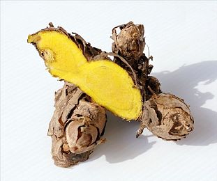 黑料不打料:极致改装新纪元,真实故障模拟颠覆赛车游戏体验-1