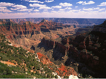 黄色软件安装：极限竞速地平线5改装秘籍，打造你的专属冠军座驾-2