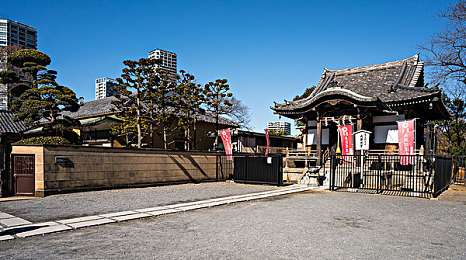 黄色软件安全下载：极限竞速地平线，个性化涂装安全获取全指南-2