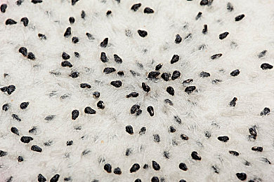 天天色天天干天天射：《极限竞速：地平线》今日深度解析，视觉改装与极速竞技如何重塑开放世界竞速体验-2