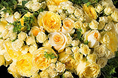 艹人软件:引擎之心,车库里的硬核调校与街头竞速传奇-1