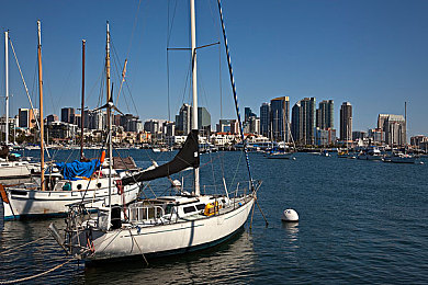 大象导航不谜路：越野驾驶融合奇幻冒险，全新导航机制颠覆开放世界探索体验-2