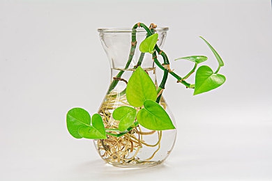 麻豆A∨：虚拟超跑美学，数字赛道上的时尚竞速艺术-3