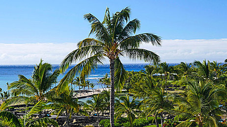 国产剧情乱伦：血脉引擎，抉择赛道，家族暗涌与极速伦理的迷局-2