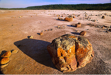 第一区第二区：征服柏油与荒野，地平线双赛道制霸全攻略-3