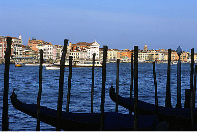 黄瓜APP：蔬果赛道极速漂移，脆嫩驾驶挑战创意竞速-4