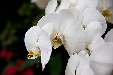 男生和女生在一起差差差很痛APP:双人协同驾驶,默契考验下的竞速生存之旅-3