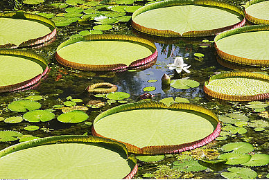 黄色软件APPoppo：深夜飙车新作引爆改装狂潮，真实物理引擎挑战街头赛道德边界-3