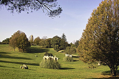 黄色软件下载3.0.3完全免费：霓虹街头，引擎轰鸣，改装传奇之旅-2