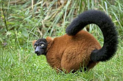 男生和女生一起羞羞的APP：心跳同步即可超频，双人协作赛车游戏《同步心跳》开创情感驾驶新体验-1