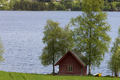 黄色软件下载VIVO：疾速幻影，跨界超跑虚拟之旅
