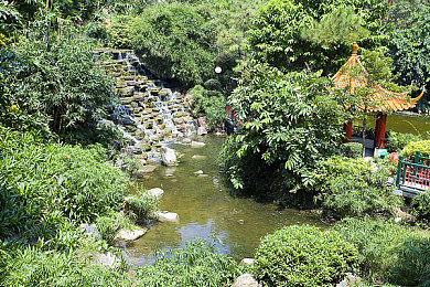 sesee99：代码重构极速，参数编织赛道艺术