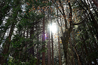 91高风险:速度破限,全城追捕,体验都市飙车的生死博弈-4