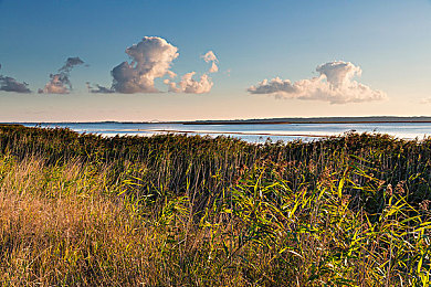 18岁以下禁止网站：夜幕疾驰，道德迷途中的引擎轰鸣
