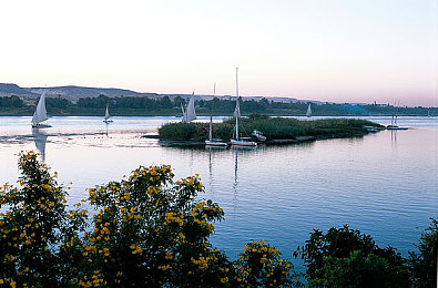 国产乱轮AV:硬核改装,征服虚拟赛道,国产赛车游戏的调校艺术-2