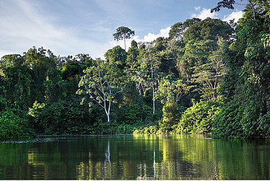 浴室帅小伙自慰chinese：霓虹都市中的极速改装，未来竞速揭开东方赛博阴谋-2