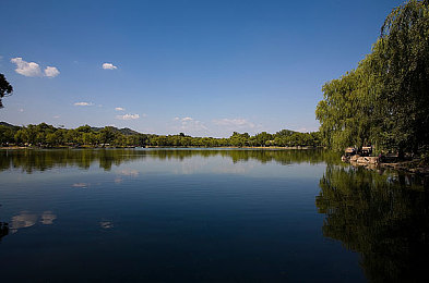 黄片十大禁用软件：《极速风云》发布安全驾驶指南，十大危险行为可致虚拟车毁人亡