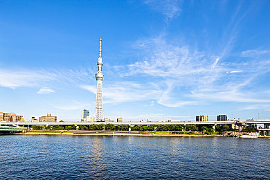 黄色应用导航:征服墨西哥金色沙海,地平线5极致驾驶攻略与深度评测-1