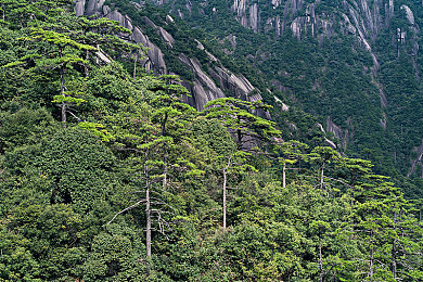 婷婷中合:水墨赛道疾驰,国风竞速新游今日上线演绎东方极速美学-2