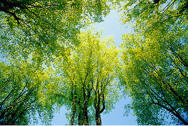 裸软件：硬核驾驶模拟新作发布，开放世界竞速体验颠覆传统