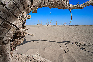 一区二区三区一中：赛道分阶，极速之心，制霸全域的竞速哲学