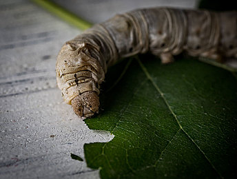 雏一区二区三区四区：极速征途，从入门到巅峰的驾驶艺术