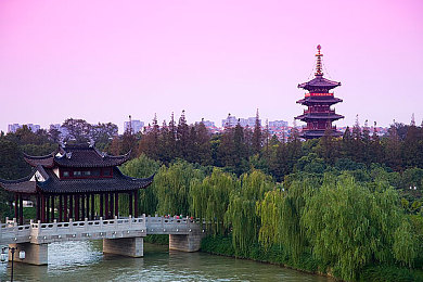 业余半老成熟自由性别业余的定义：当经验遇见自由，在虚拟赛道重塑驾驶人生-3