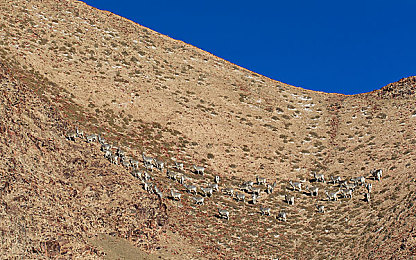 91麻豆天美精东果冻传媒电影：极速光影，传媒竞逐，赛道上的镜头帝国崛起