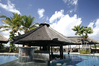 2023年黄色软件网站大全：极速新纪元，盘点本年度最令人血脉贲张的赛道盛宴