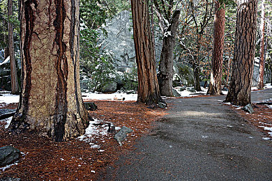 成人αⅴ：极限竞速地平线5，开放世界驾驶的终极自由体验-2