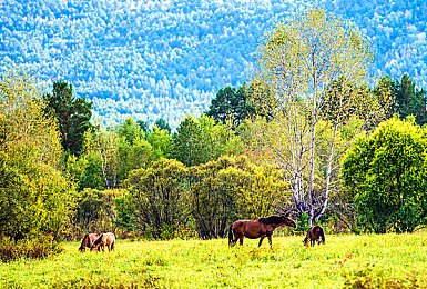 牧场ZOZ0重口另类女人2：锈蚀大地与荧光绿洲的机械牧歌-2