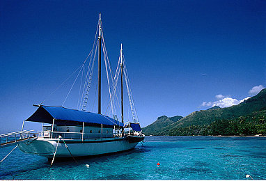 julia ann 一对七黑人：夜幕环山，极限耐力七重决胜挑战