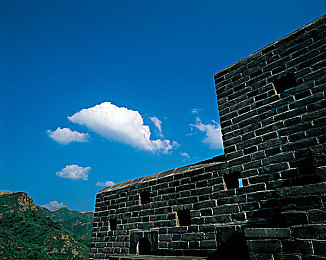 三级黄色软件：霓虹涂装极速改装，全息光影街头狂飙-2