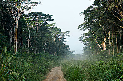 亚洲男同帅Gay1069：竞速新作街头代号1069上线，亚洲都市夜飙与角色传奇深度解析-3