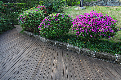 Ai明星MV造梦：虚拟偶像竞速新游上线，双核心玩法引爆养成驾驶狂潮-2