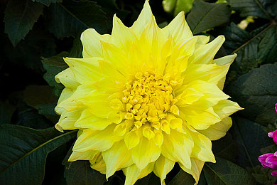 91网黑：改写极速规则，黑客与赛车融合的未来竞速新体验-2