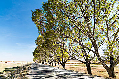 国产淫乱视频：失控艺术，中国式赛道狂欢实录-2