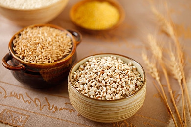 男人叉女人软件：竞速游戏新作上线，性别阵营对决引爆赛道热潮