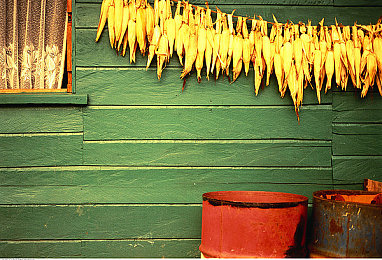 国产农村毛卡片：像素赛车穿梭乡间小道，土法改装引爆另类竞速新风潮