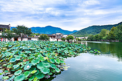 色情网站入口：霓虹都市暗网狂飙，破解黑客任务，体验赛博竞速新纪元-2