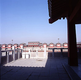 99热九九这里只有精品：极限竞速地平线5，开放世界赛车游戏的巅峰体验-2