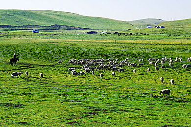 男女xx网站：极限竞速无界限，公平赛道见证技巧对决